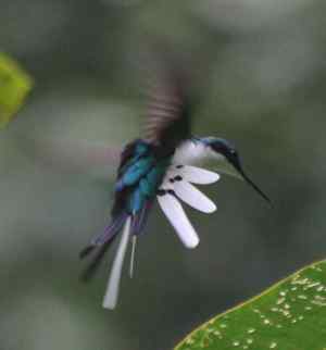 La cláusula suelo II: Sentencias posteriores a la del Tribunal Supremo